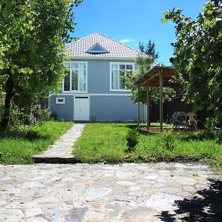 Soft Villa Gabala Ngoại thất bức ảnh
